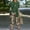 E7-Dark Green, variant on Women's 3 Pieces Pant Suits Elegant Loose 3/4 Sleeve Floral Cardigan Sleeveless Tank Tops Wide Leg Pants Suits Pant Suits for Wedding 2026 Fall,Beige M