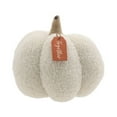 thumbnail image 2 of Plush Pumpkin - Cream -12 inches, 2 of 6