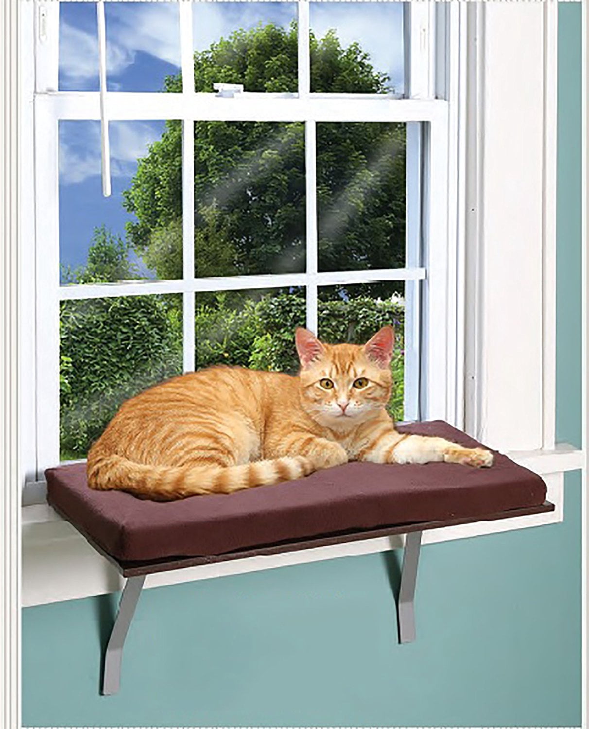 ETNA Products Foam Cushion Deluxe Kitty Window Perch - Brown