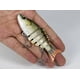thumbnail image 3 of Señuelos de pesca para lubina, trucha, 6 segmentos, multiarticulados, natación biónica, hundimiento lento, agua dulce, salada, crankbait duro, 11 g, 3,34 pulgadas, 3 of 5