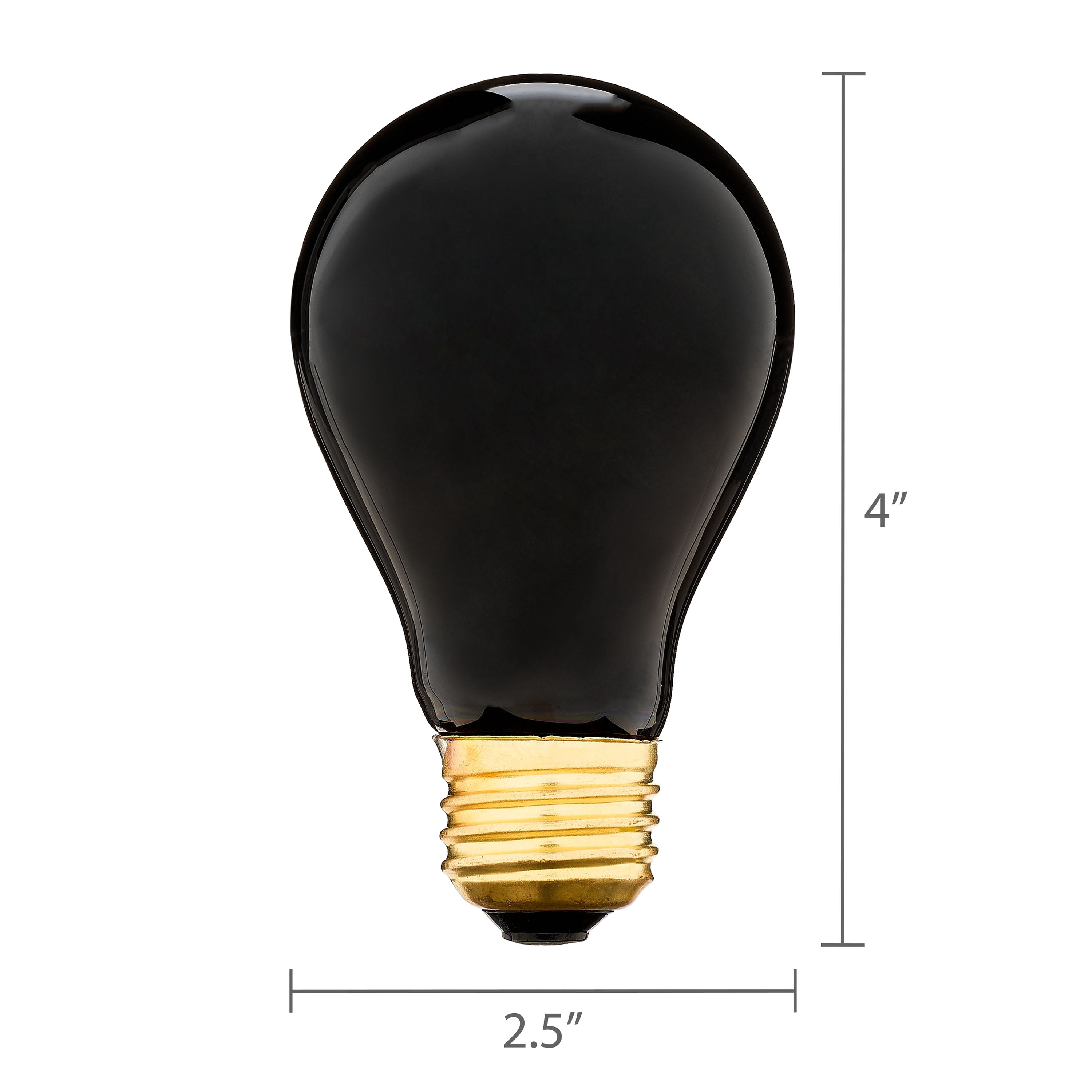 Vibrant Life Nighttime Heat Bulb for Reptiles, 75 Watts