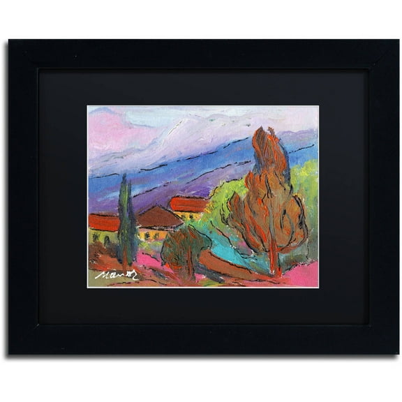 Trademark Fine Art "Summer Blush" Canvas Art by Manor Shadian Black Matte, Black Frame