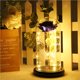 thumbnail image 2 of Naiovety Rosa eterna LED con cúpula de cristal Flor de lámina de oro de 24 quilates y una de cuento de hadas Regalo de San Valentín Almacenamiento y organización del hogar Naiovety HA023427-00, 2 of 6