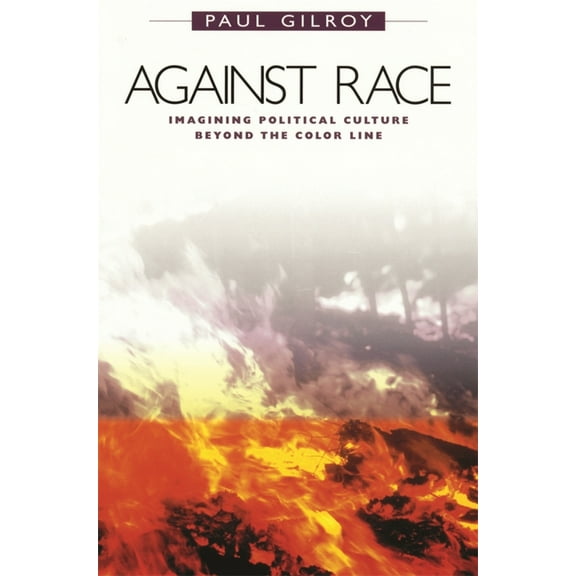 Against Race: Imagining Political Culture Beyond the Color Line (Paperback)
