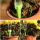 thumbnail image 5 of Espiga de riego 2 Piezas de Jardín Automático para Riego Planta de Flor de Riego Botellas, 5 of 7