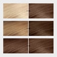 thumbnail image 2 of Revlon Colorsilk: A Trio of Luxurious Brown Shades, Enriched with Keratin and Amino Acids, 100% Gray Coverage, and Ammonia-Free, Perfect for Permanent Hair Color Dye - Pack of 3, 2 of 3
