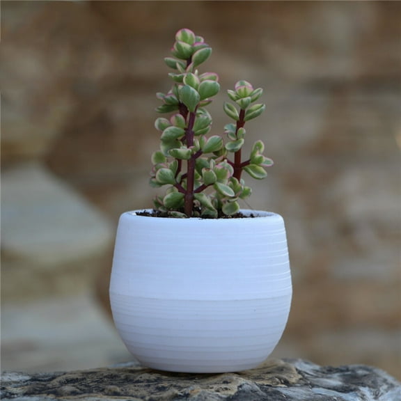 Masteelf White Resin Planter Pot for Home and Office Decor, Small Flower Pot, 4.5 Inch Size Ideal for Plants