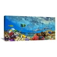 thumbnail image 1 of Global Gallery Pangea Images,'Reef Sharks and fish, Indian Sea' Stretched Canvas Artwork, 1 of 3