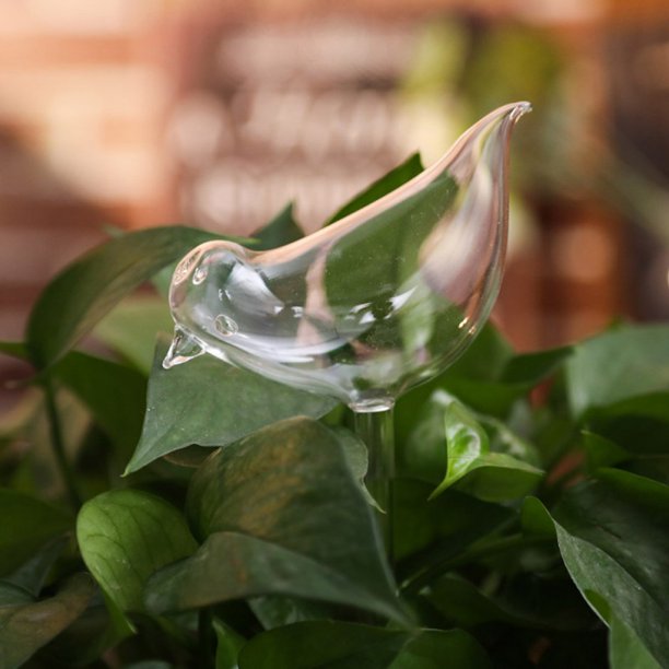 Plants Glass Automatic Watering Device, Flower Selfing