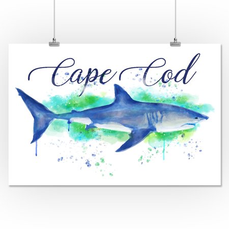 Cape Cod Massachusetts Great White Shark Watercolor Lantern
