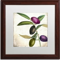 Trademark Fine Art "Olive Branch II" Canvas Art by Color Bakery, White Matte, Wood Frame