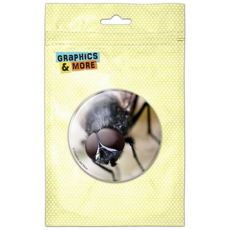 

Common House Fly Faceted Eyes Refrigerator Button Magnet