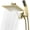 Polished Brass-8 Inches, variant on 10 Inches Matte Black Dual Square Rain Handheld Shower Head with Adjustable Diverter