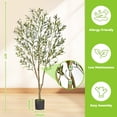 thumbnail image 4 of Lyacmy 5ft Artificial Olive Tree with Realistic Leaves and Natural Trunk, Faux Potted Plants with Black Plastic Pot for Home Office Decor, 4 of 9