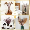 thumbnail image 7 of GoXteam 20pcs Red Dried Eucalyptus Stems, Natural Eucalyptus Branches for Shower Hanging, 17" Preserved Plants Steam Shower for Women and Men, Relaxation Set, Mother's Day, 7 of 7