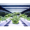 thumbnail image 3 of Feit Plug & Play T8 and T12 Blue 48 in. G13 Linear LED Bulb 20 Watt Equivalence 1 pk, 3 of 10