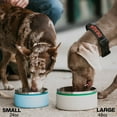 thumbnail image 2 of RTIC 3-in-1 Dog Bowl, Large, Stainless Steel Insulated Bowl, Silicone Lid, Deep Harbor & RTIC Ice, 2 of 7