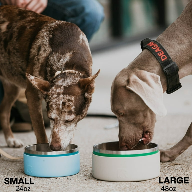Stainless Steel Puppy Dish Water Bowl Universal Feeder Stainless Steel Puppy Dish Water Bowl Universal Feeder