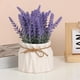thumbnail image 1 of Rural Scener Style Romantic Potted Ornaments Home Living Room Plastic Simulation Bouquet Bonsai Green Plant Crafts Table Decoration Ornaments, 1 of 6
