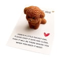 thumbnail image 1 of Birdeem Cute Teddy Pocket Card, Resin Brown Bear Design, Small Greeting Card for Gift Giving, Affection Note Card for Friends Family, 1 of 7