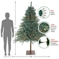 thumbnail image 5 of Northlight Real Touch™ Pre-Lit Medium Fairbanks Alpine Artificial Christmas Tree - 7.5' - Clear, 5 of 7