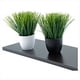 thumbnail image 2 of planta artificial decorativa con maceta blanca, 2 of 3