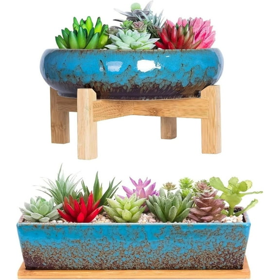 DYJP 2 Pack Succulent Pots - 10'' 12'' Succulent Planters with Drainage, Shallow Bonsai Pots with Tray Ceramic Pots for Indoor Plants Large Cactus Flower Plant Bowl