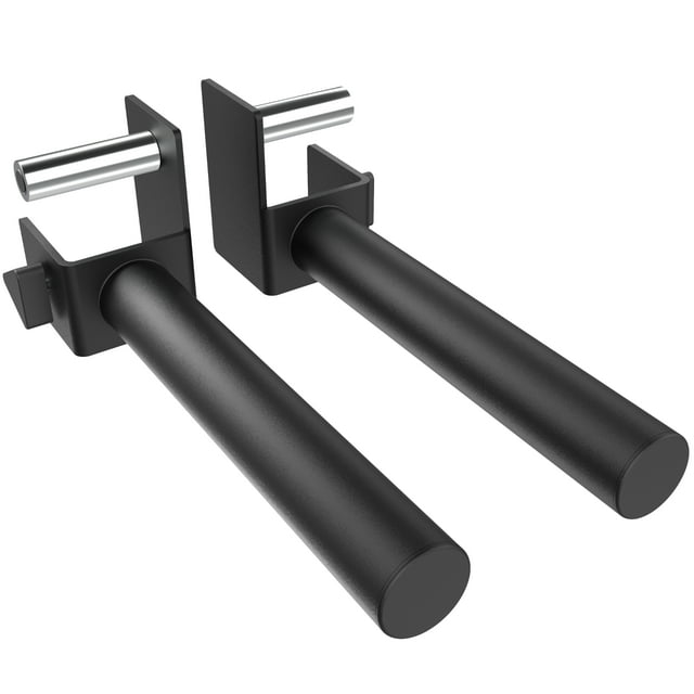 Synergee Support de Rangement pour Disques de Poids pour Supports Power 3x3 et Squat. Convient aux Trous de 1 Pouces et 5/8 Pouces. Porte-Dos Olympique Monté sur Rack pour un Rangement de Poids Organisé.