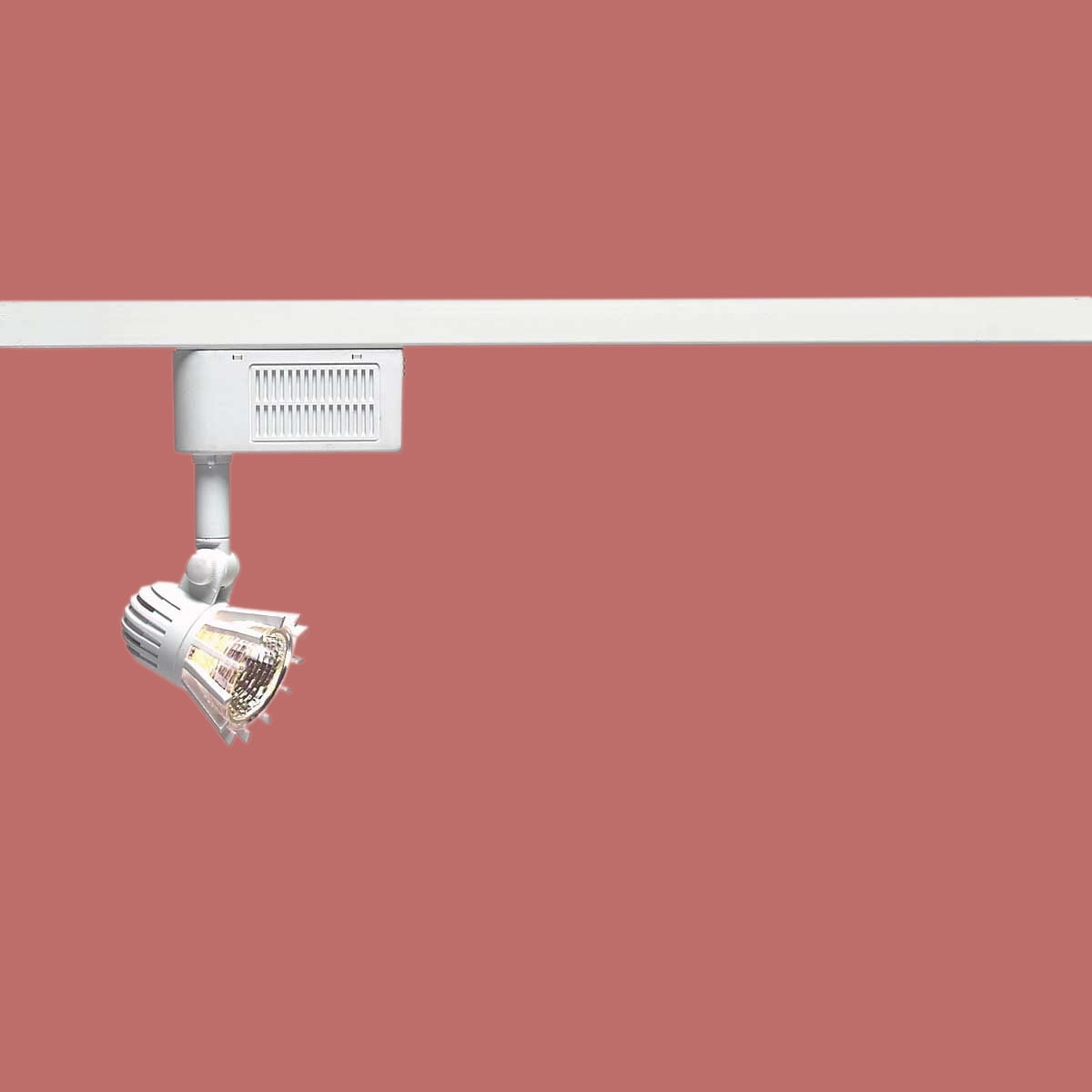 Track Lighting White Ribbed Track Light | Renovator's Supply