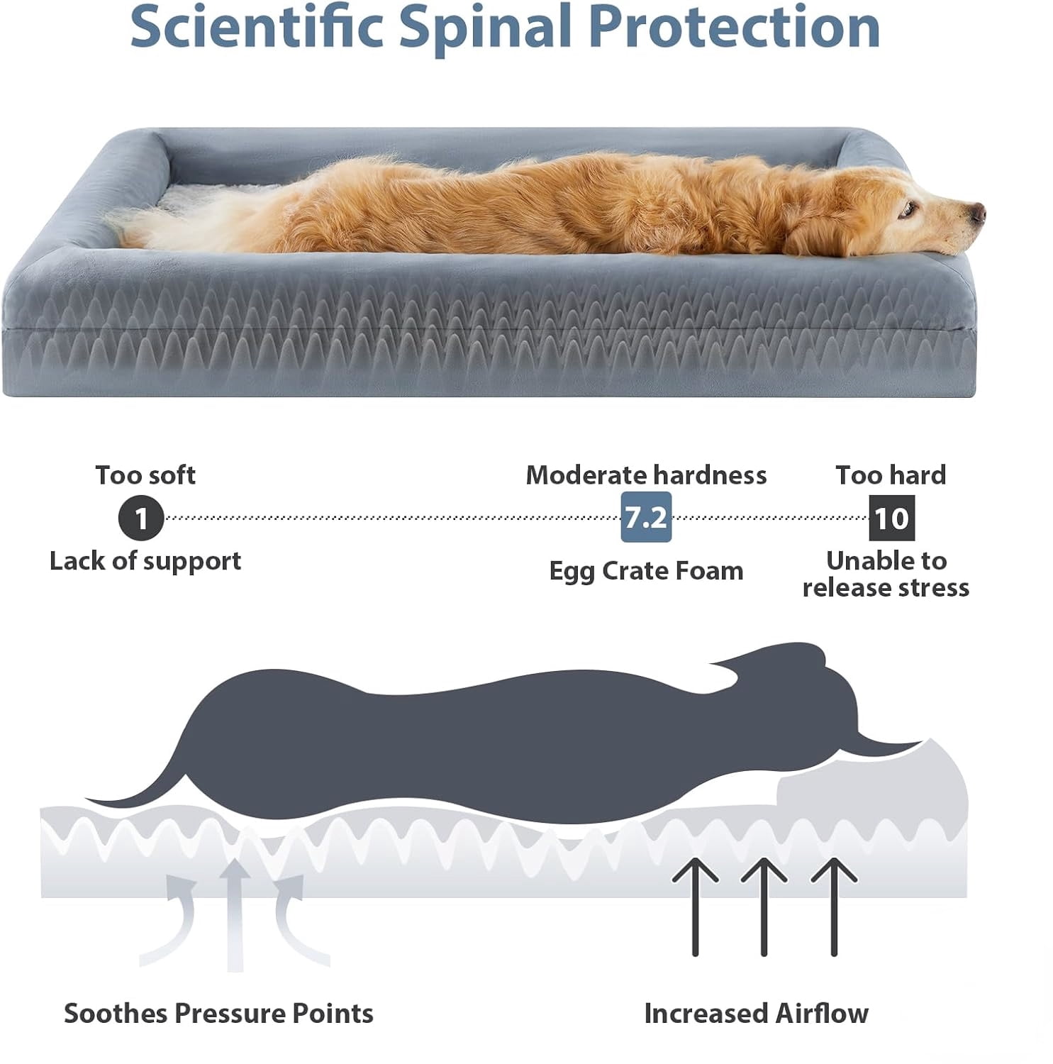 Extra Large Waterproof Dog Bed With Removable Cover Orthopedic Support Design