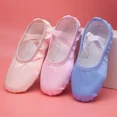thumbnail image 3 of Cat Claw Satin Ballet Shoes Body Practice Dance Shoe Adult Exam Performance Soft Bottom Pink Flesh Blue Yoga Flat Women (Flesh,29), 3 of 7