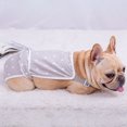 thumbnail image 5 of Pet Enjoy Washable Dog Sanitary Panties with Suspenders,Soft BreathablePet Underwear Diaper for Female Dogs,Pet Physiological Pants Cotton Jumpsuit Diaper for Female Dogs, 5 of 8