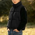 thumbnail image 4 of StSilkitty Puffer Vest for Boys Girls Full Zip up Sleeveless Stand Collar Jacket Coat Winter Warm Outerwear with Pockets, 4 of 9