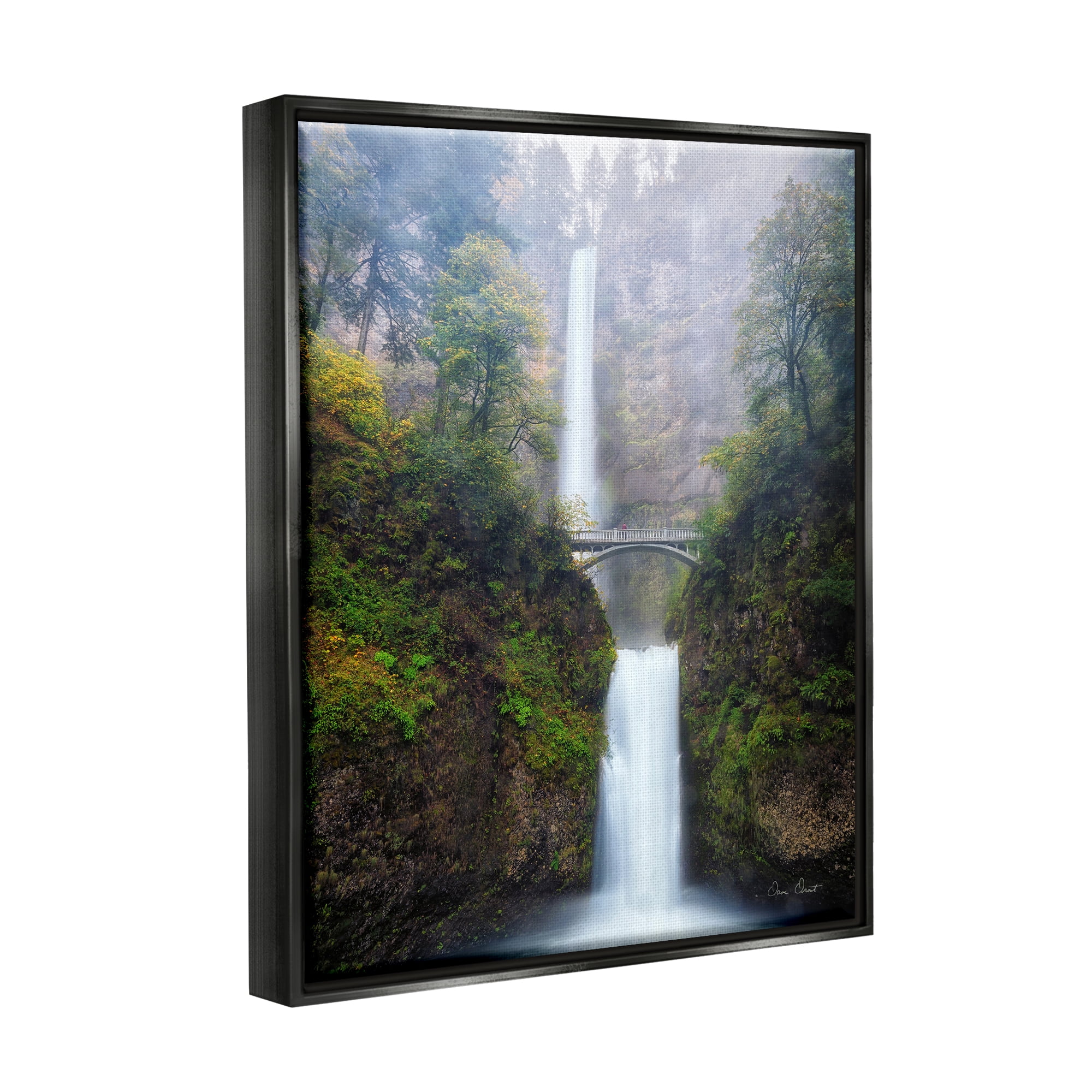 Stupell Industries Waterfall Bridge Photography Nature Photography Black Floater Framed Art Print Wall Art, 25 x 31