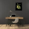 thumbnail image 4 of Vision Studio 20x24 Black Modern Framed Museum Art Print Titled - Custom Green Leaves on Black I (LG), 4 of 5