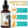 thumbnail image 2 of RestoraPet 1-Pack Organic Pet Supplement For Dogs, Cats & Horses, 2 of 9
