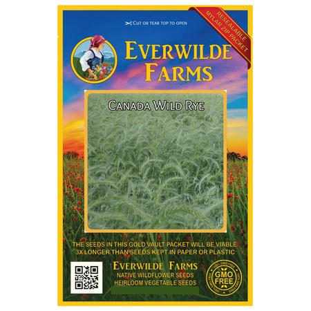 Everwilde Farms - 1000 Canada Wild Rye Native Grass Seeds - Gold Vault Jumbo Bulk Seed