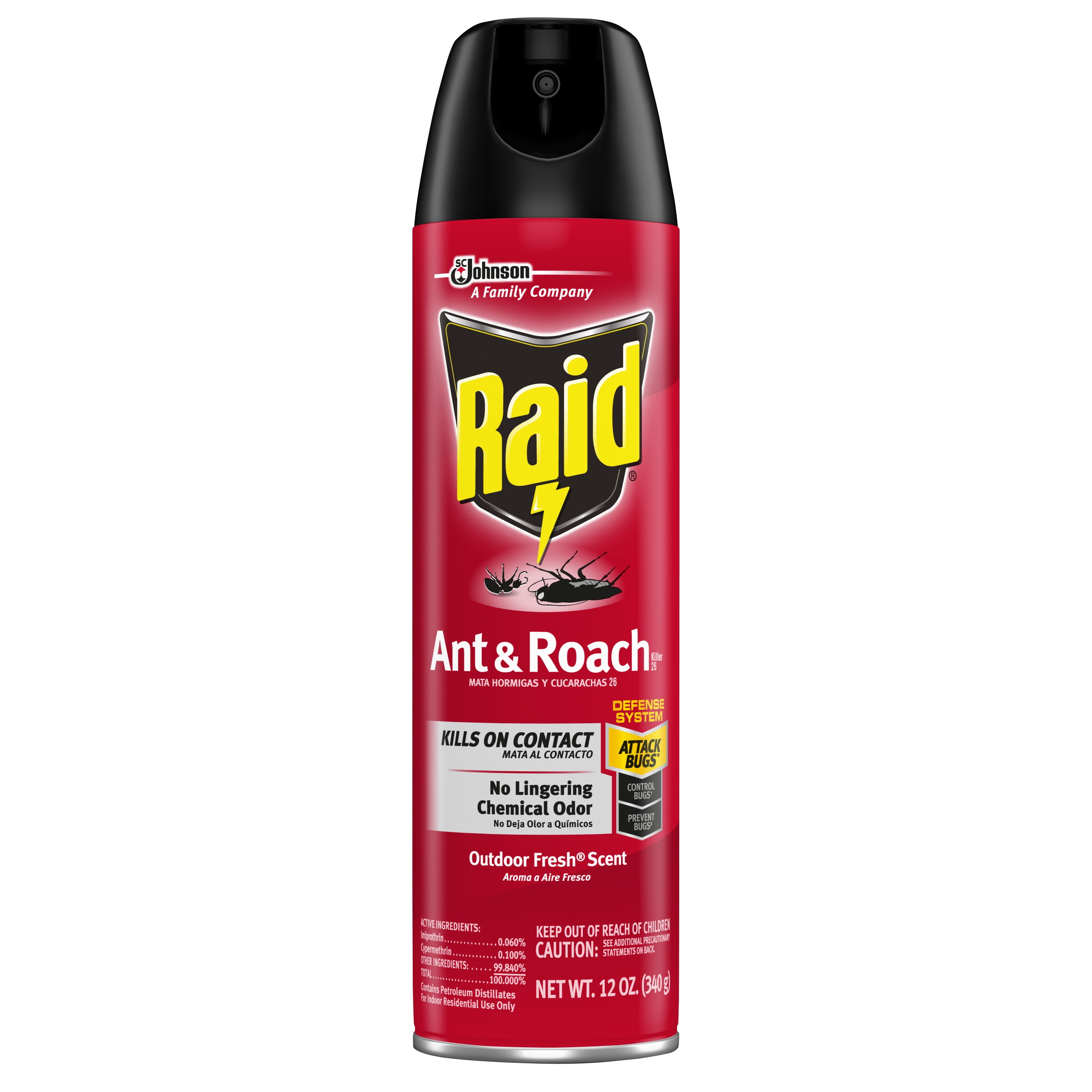 Raid Ant & Roach Killer 26, Outdoor Fresh Scent, 12 oz - Walmart.com