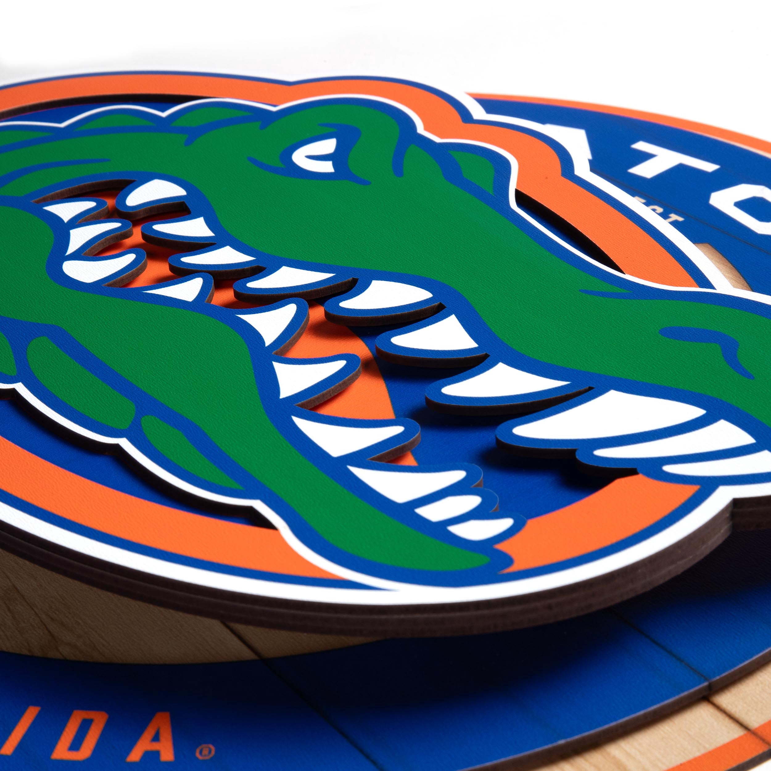 YouTheFan NCAA Florida Gators 3DX Circle Wall Art