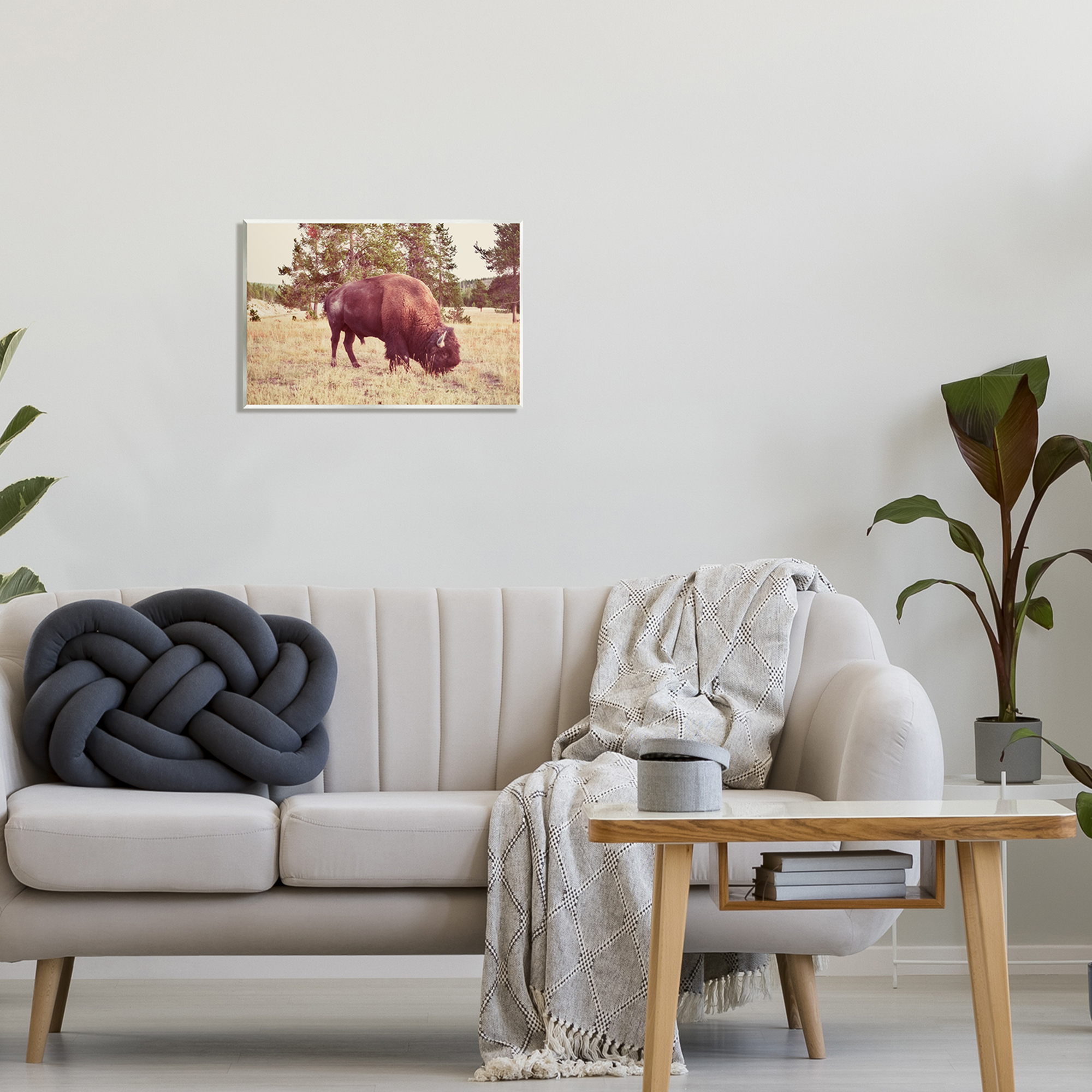 Stupell Wild Bison Rural Nature Scenery Animals & Insects Photography Wall Plaque Unframed Art Print Wall Art
