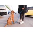 thumbnail image 2 of LAICAIW Rope Dog Leash 5 FT with Comfortable Padded Handle, Highly Reflective Threads Dog Leash for Medium Dogs, 3/8 inch, Blue, 2 of 7
