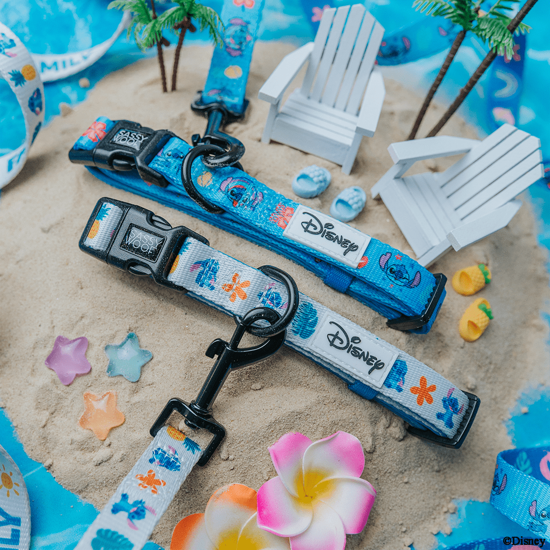 Lilo & Stitch - Sassy Woof Comfort Dog Collar with Disney's Stitch Ohana, Medium, White