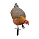 thumbnail image 2 of Escultura realista de pollo, gallina, letrero realista, figuras para decoración de suelo, gallo A, 2 of 9