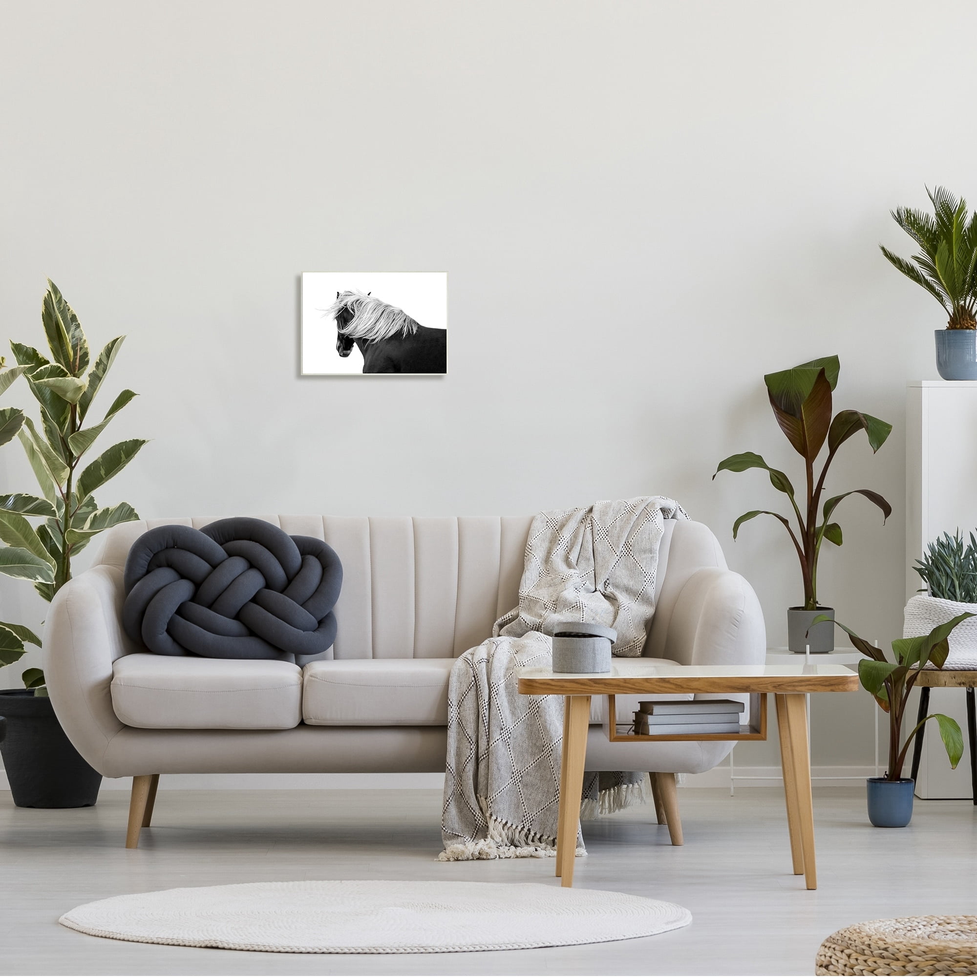 Stupell Industries Equestrian Photography Modern Horse Contrast Black White, 19 x 13,Design by Samantha Carter