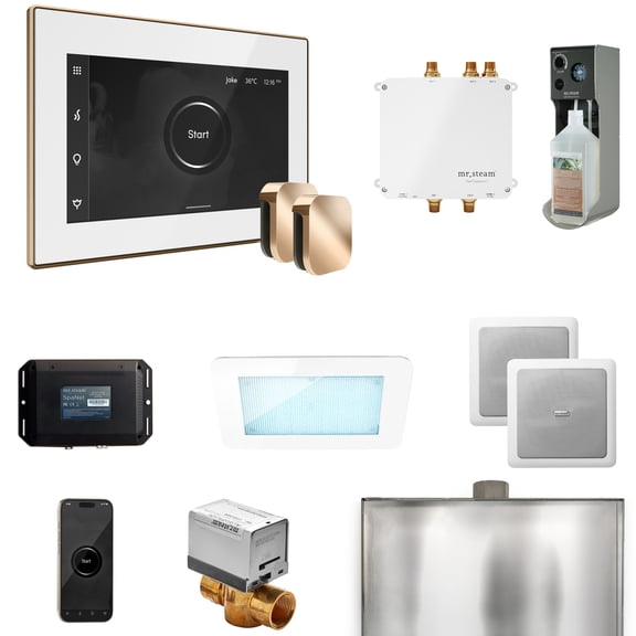 Mr Steam Bliss Max Steam Shower Ctrl Pkg w/iSteamX Control and Steamhead in White Polished Gold