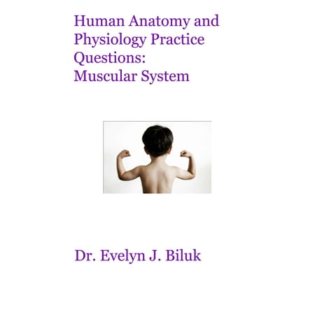 Human Anatomy and Physiology Practice Questions: Muscular System -