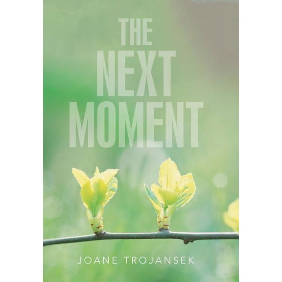 The Next Moment (Hardcover)