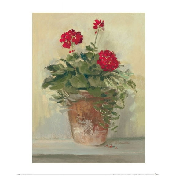 GBC | "Potted Geraniums II" Art Print - 16x20