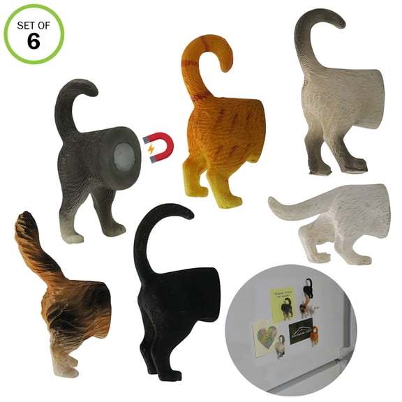 6 Pack - Evelots Refrigerator Magnets-Cat Butts-Photo/Key Holder-6 Popular Breeds