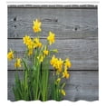 thumbnail image 3 of Ambesonne Yellow Flower Shower Curtain, Daffodil Bouquet, 69"Wx75"L, Yellow Grey, 3 of 3